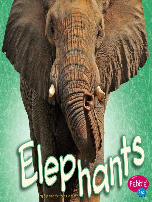 Title details for Elephants by Colleen Buckman - Available